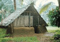 Image of Kalari or School