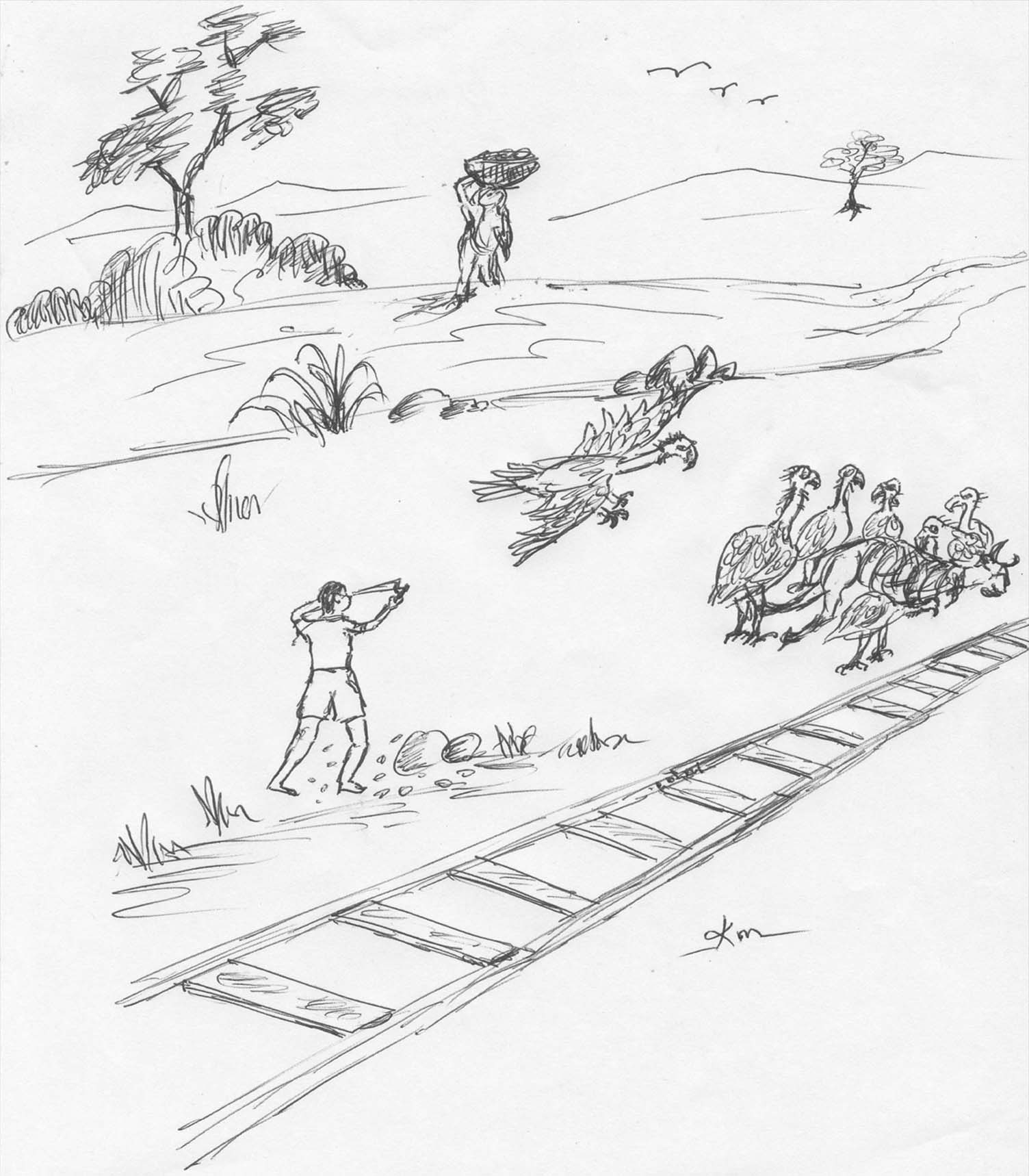 pencil sketch image