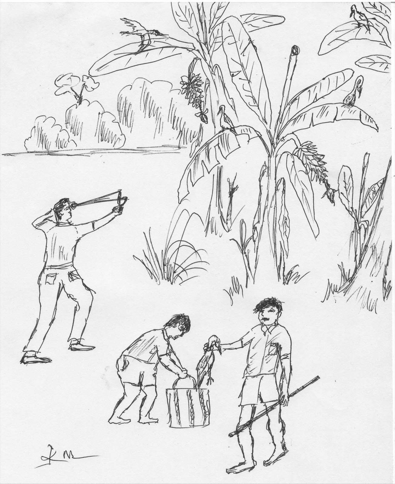 pencil sketch image
