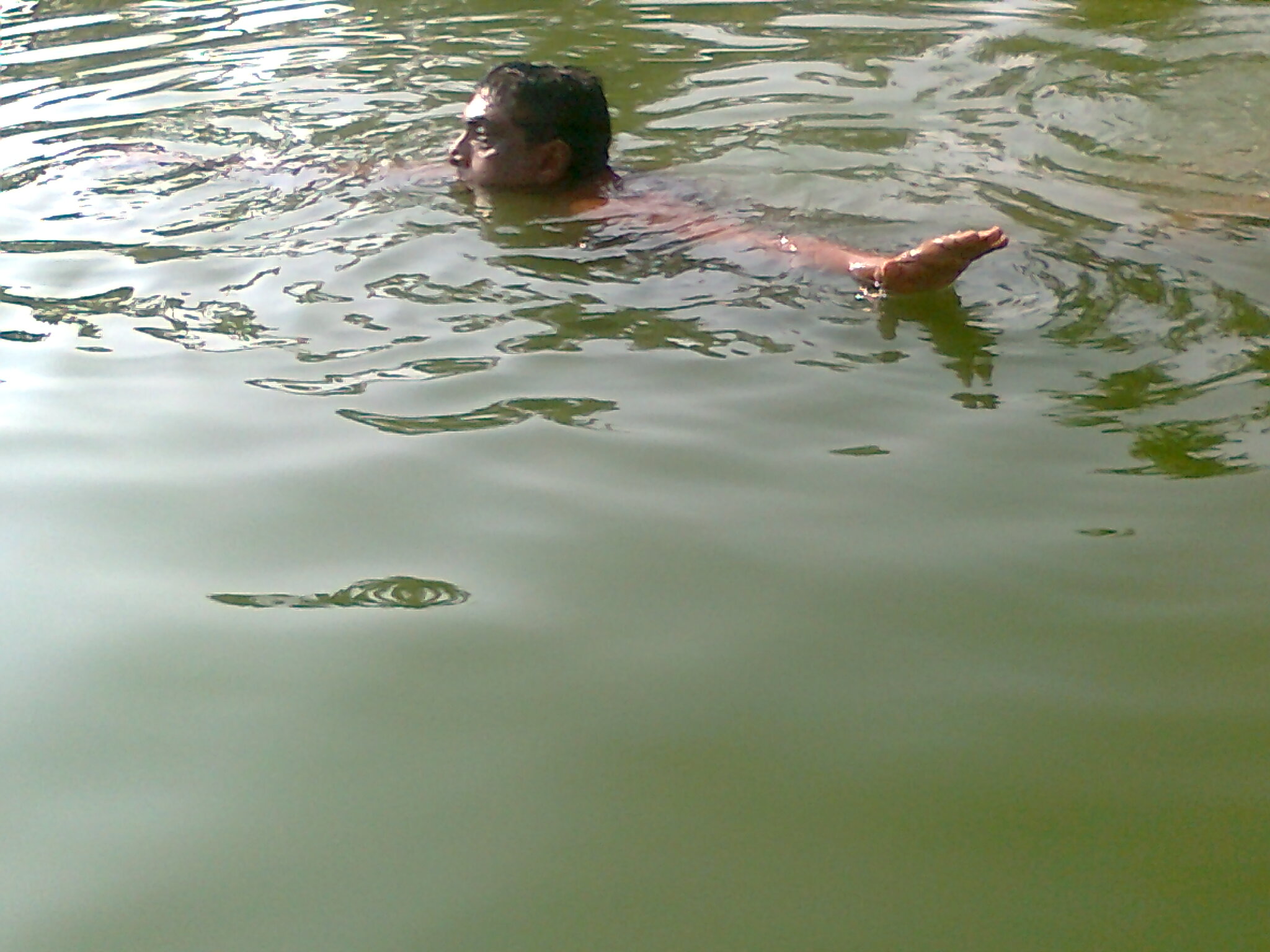 swimming