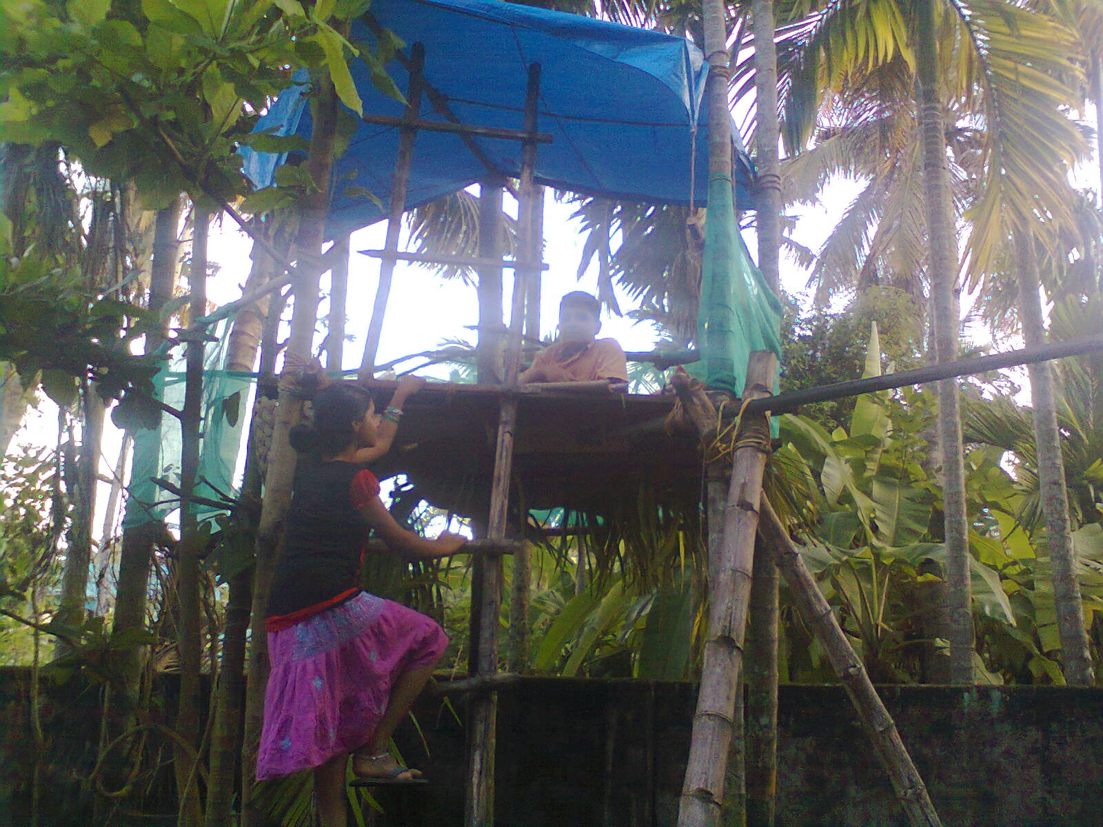 Tree-house at Bali Kalari