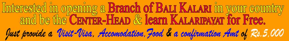 branch open image