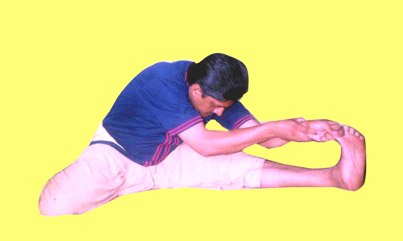 JanuShirshasan